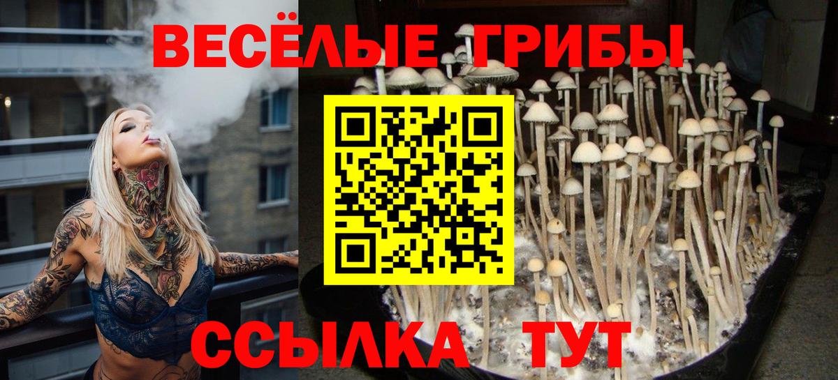 Галлюциногенные грибы мицелий  Галлюциногенные грибы ЛСД  Сухой Лог  Вход с VPN 